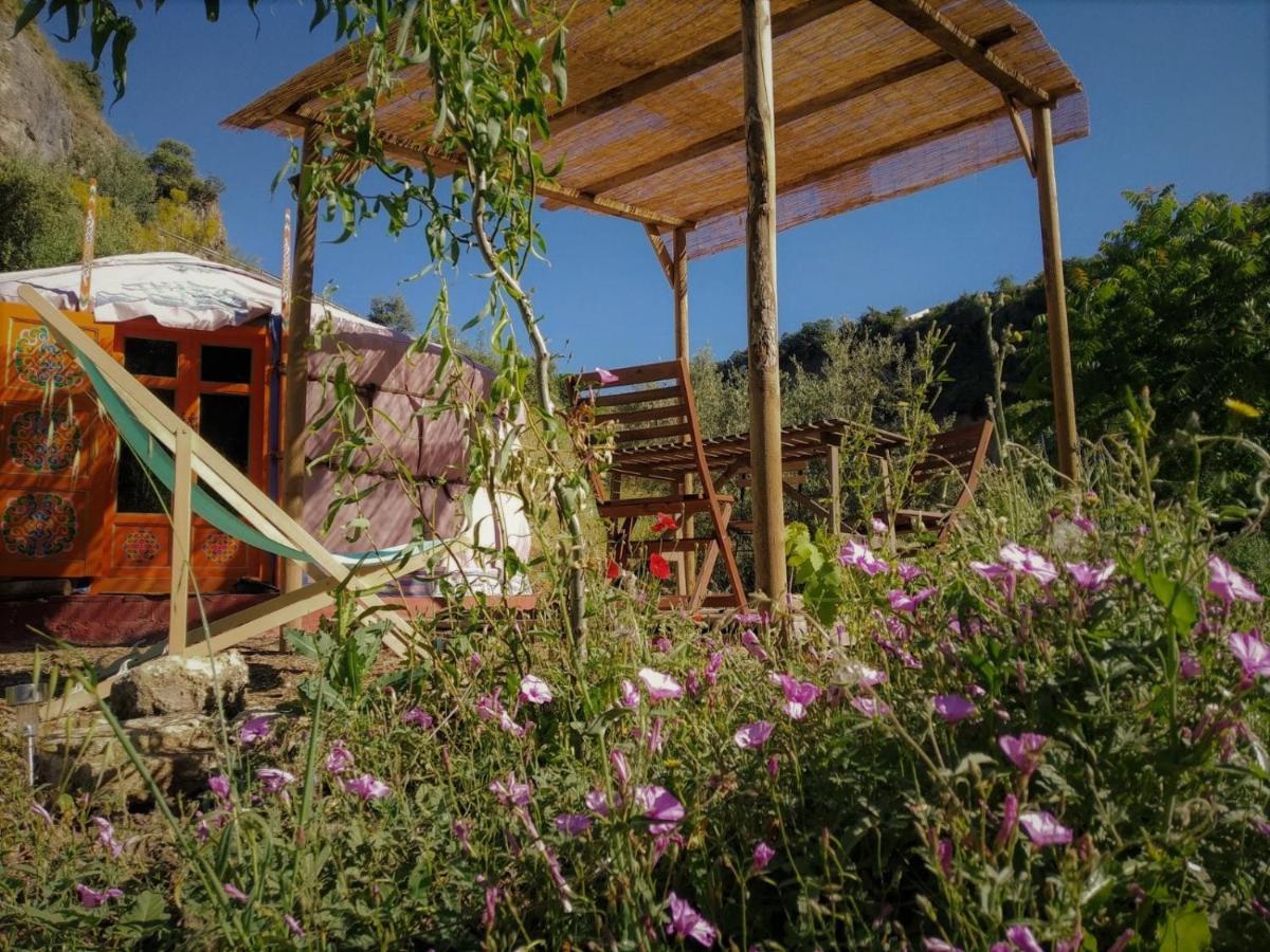Vakantiehuis La Molina - Casas Independientes En Naturaleza Excepcional Setenil De Las Bodegas