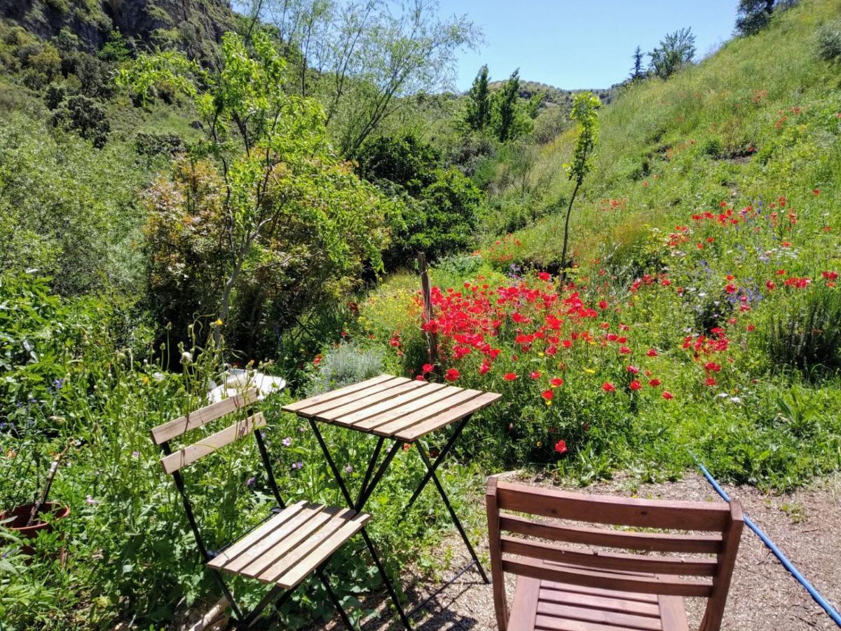 La Molina - Casas Independientes En Naturaleza Excepcional *