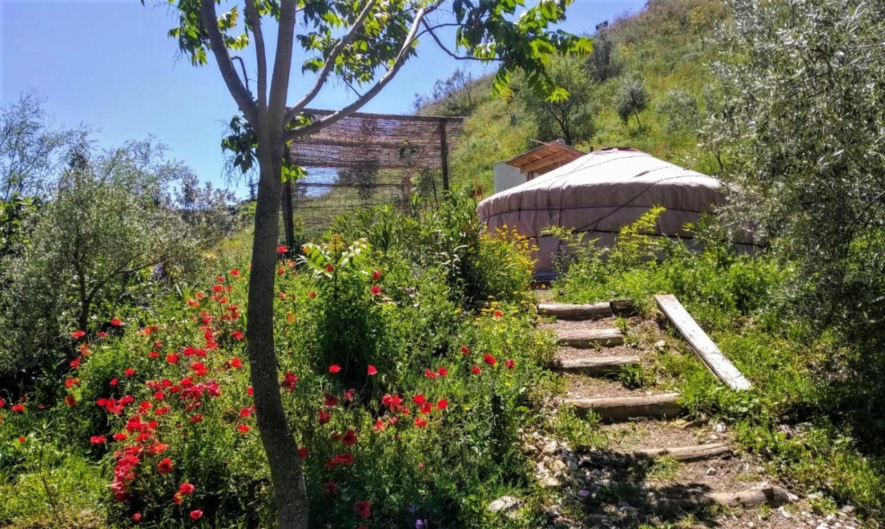 La Molina - Casas Independientes En Naturaleza Excepcional * Setenil De Las Bodegas