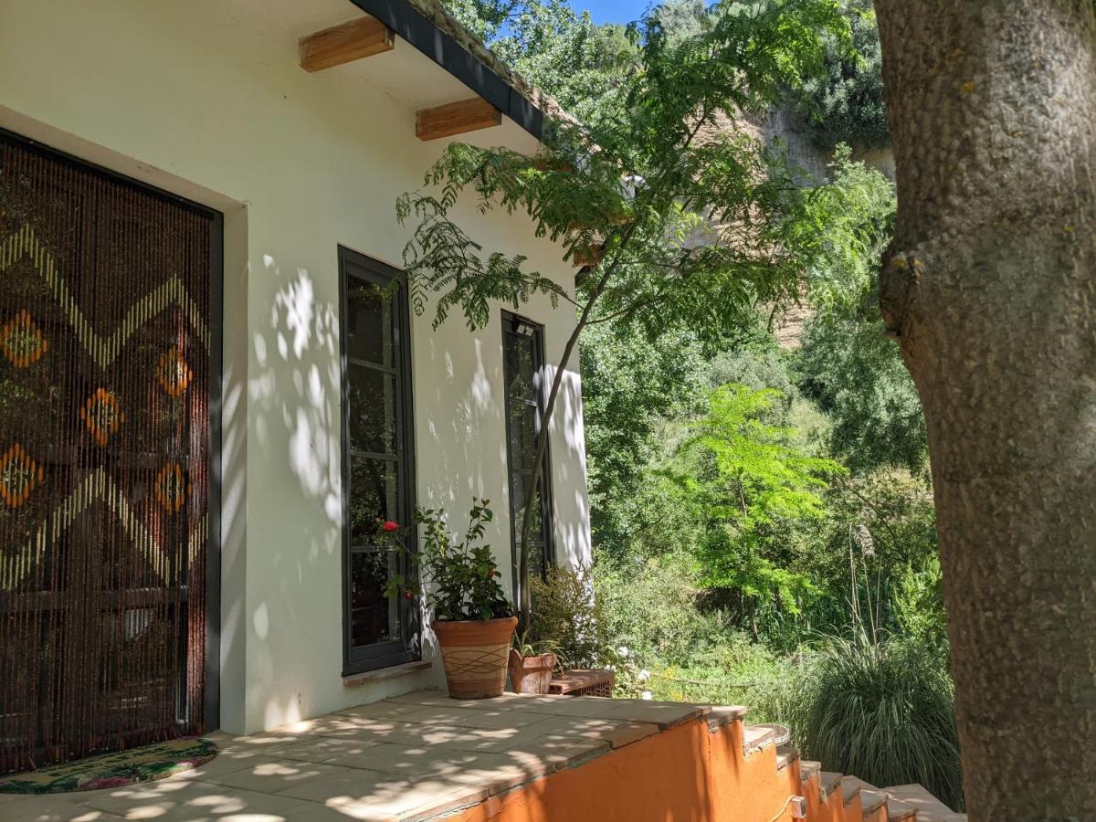 La Molina - Casas Independientes En Naturaleza Excepcional * Setenil De Las Bodegas
