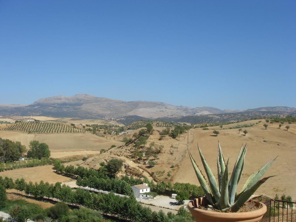Vakantiehuis La Molina - Casas Independientes En Naturaleza Excepcional Setenil De Las Bodegas