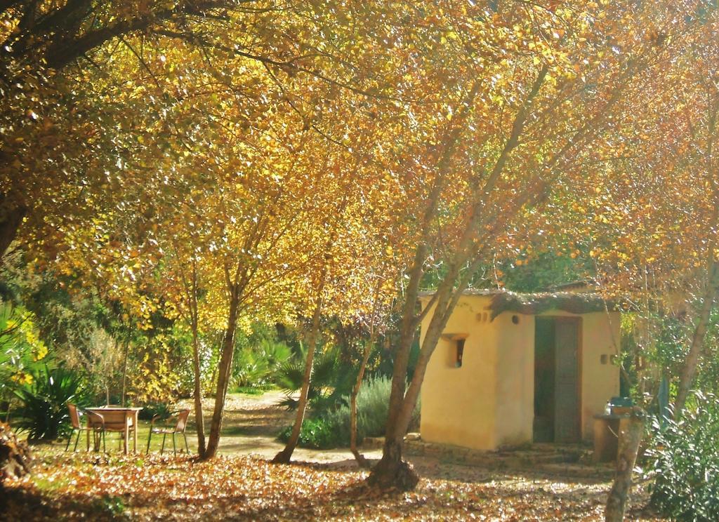 La Molina - Casas Independientes En Naturaleza Excepcional