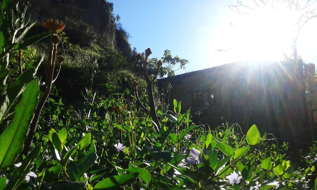 Vakantiehuis La Molina - Casas Independientes En Naturaleza Excepcional *