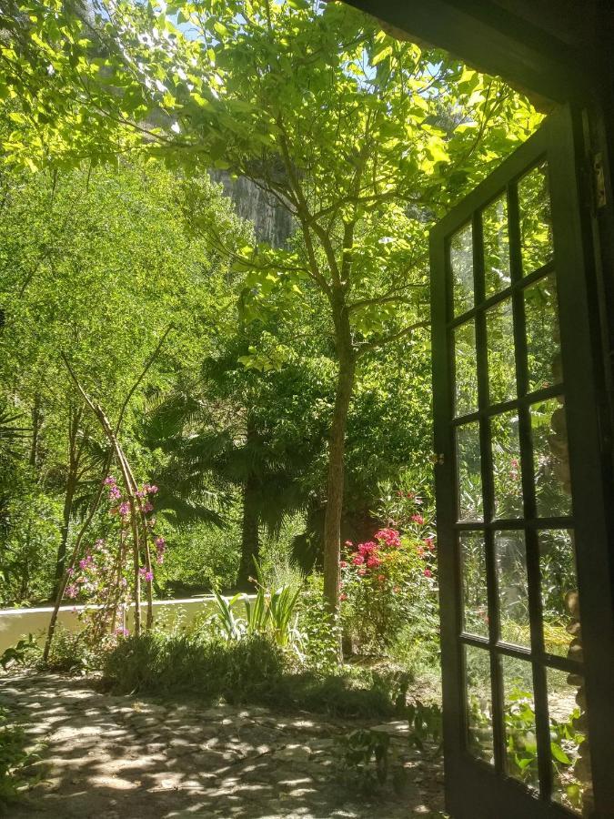 Holiday home La Molina - Casas Independientes En Naturaleza Excepcional