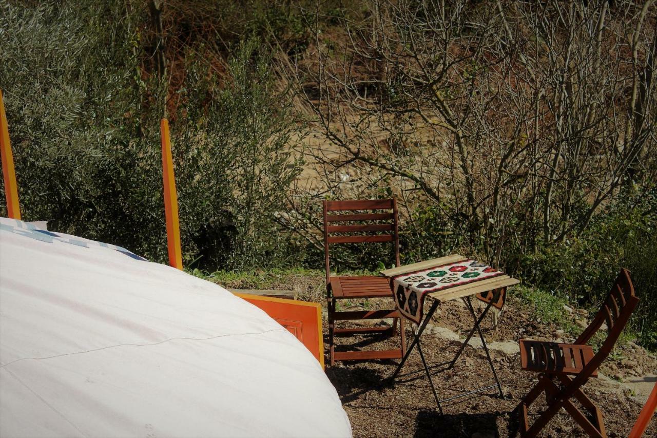 Holiday home La Molina - Casas Independientes En Naturaleza Excepcional