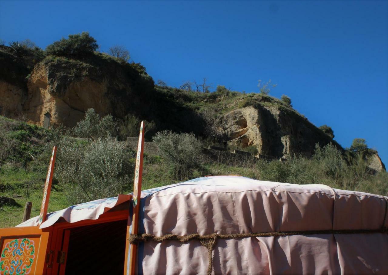 La Molina - Casas Independientes En Naturaleza Excepcional Holiday home Setenil De Las Bodegas